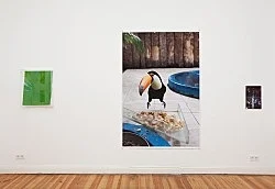 Wolfgang Tillmans Berlin 2010 — Wolfgang Tillmans — Exhibitions — Galerie Buchholz — Image 73