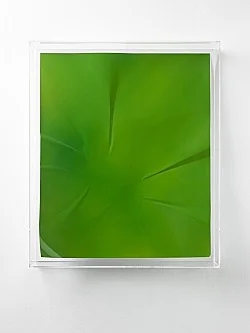 Wolfgang Tillmans Berlin 2010 — Wolfgang Tillmans — Exhibitions — Galerie Buchholz — Image 75