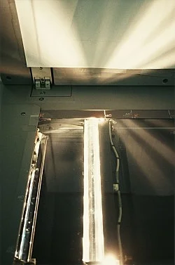 Wolfgang Tillmans Berlin 2010 — Wolfgang Tillmans — Exhibitions — Galerie Buchholz — Image 81