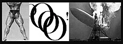 Quodlibet III Alphabets and Instruments — Tomma Abts Nairy Baghramian Cosima von Bonin Moritz von Oswald, Elektronik Tony Conrad Simon Denny Lukas Duwenhögger... — Exhibitions — Galerie Buchholz — Image 110