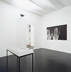 Sexuelle Zwischenstadien Einführung in die Theorie der Homosexualität — Henrik Olesen — Exhibitions — Galerie Buchholz — Image 18