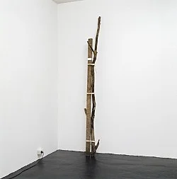 Sexuelle Zwischenstadien Einführung in die Theorie der Homosexualität — Henrik Olesen — Exhibitions — Galerie Buchholz — Image 22