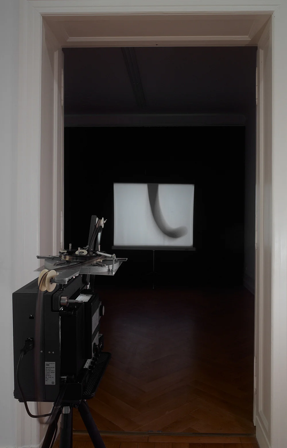 and possibly but not certainly Mark Leckey and Frances Stark — Mark Leckey Frances Stark — Exhibitions — Galerie Buchholz — Image 00