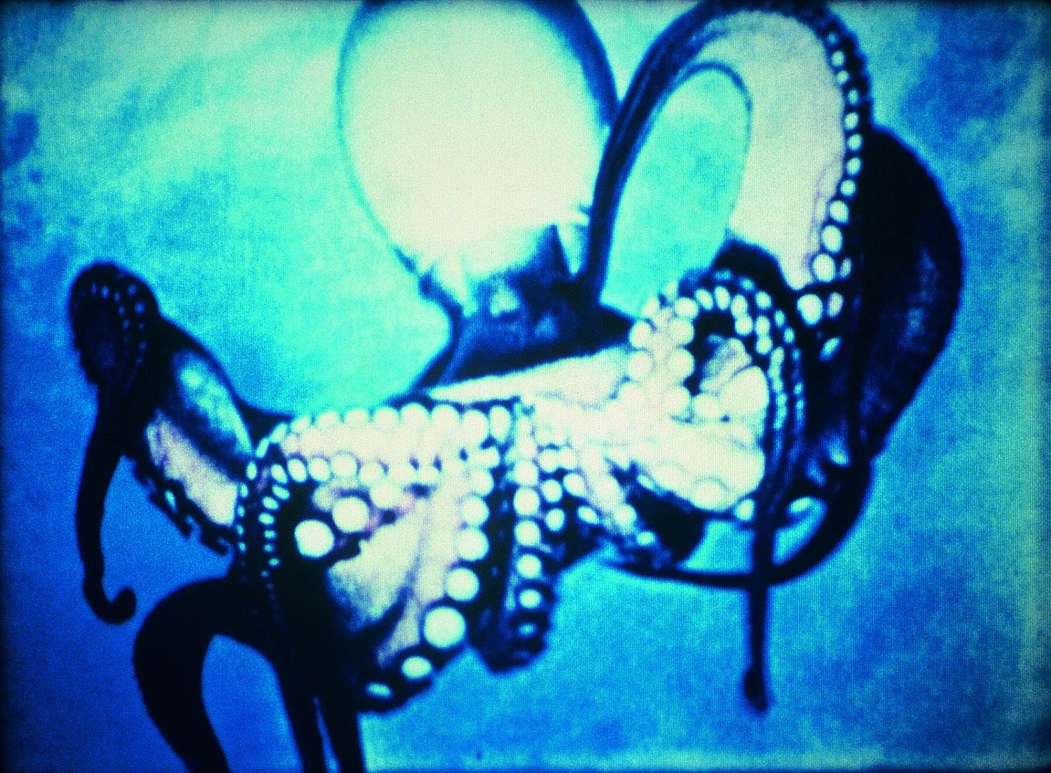 Under Water Sea Fantasy — Jack Goldstein — Exhibitions — Galerie Buchholz — Image 04