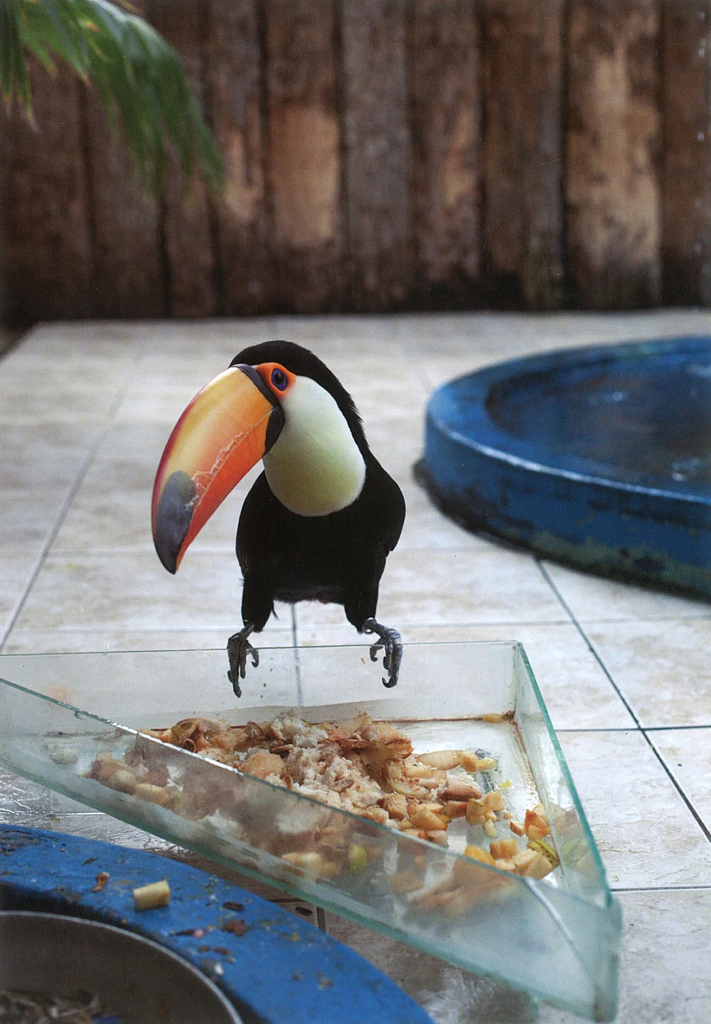 Wolfgang Tillmans Berlin 2010 — Wolfgang Tillmans — Exhibitions — Galerie Buchholz — Image 01