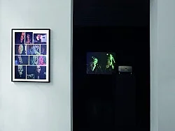 DEAD or ALIVE — Mark Leckey — Exhibitions — Galerie Buchholz — Image 22