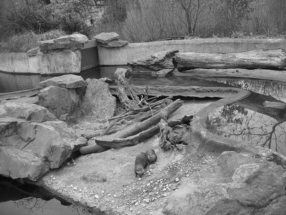 Quodlibet II — Tomma Abts, Tony Conrad, Mark Leckey, Patrick Procktor, Vincent Fecteau, Marcus Behmer, Alice Horodisch-Garnman,... — Exhibitions — Galerie Buchholz — Image 00