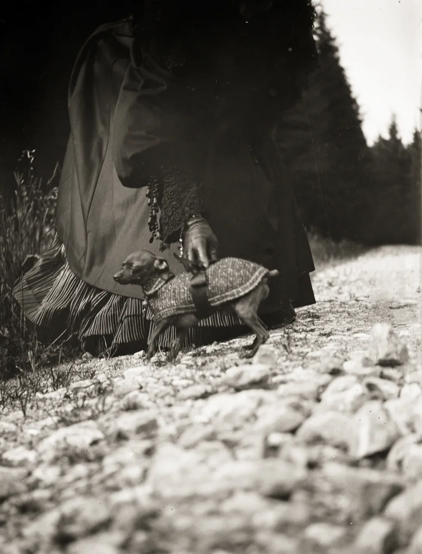 The President of the Republic of Dreams curated by François Piron — Raymond Roussel — Exhibitions — Galerie Buchholz — Image 86