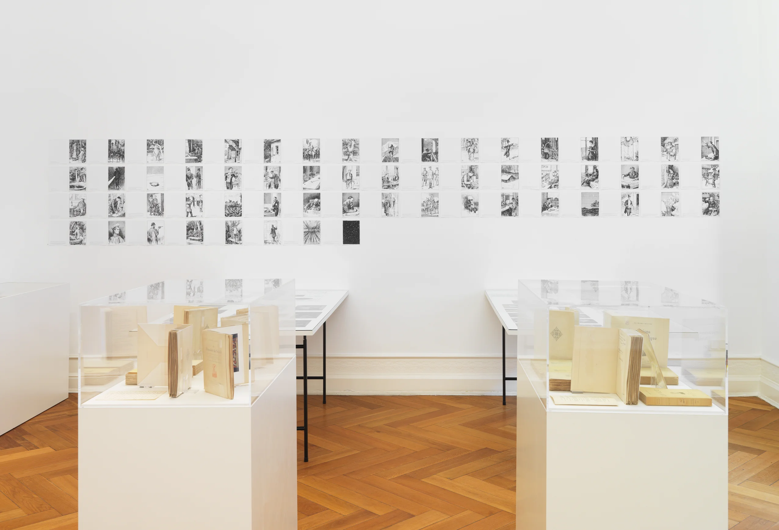 The President of the Republic of Dreams curated by François Piron — Raymond Roussel — Exhibitions — Galerie Buchholz — Image 33