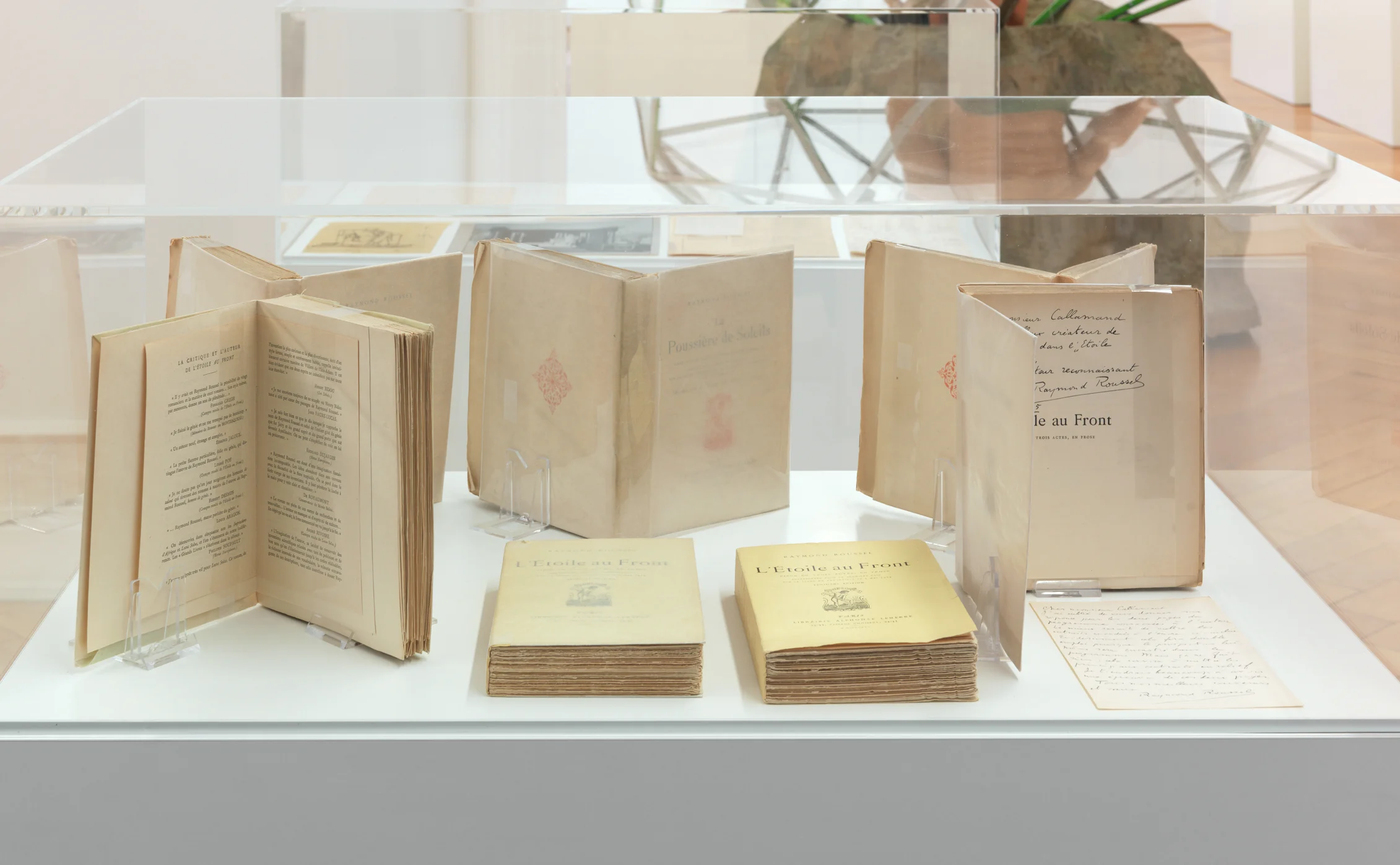 The President of the Republic of Dreams curated by François Piron — Raymond Roussel — Exhibitions — Galerie Buchholz — Image 36