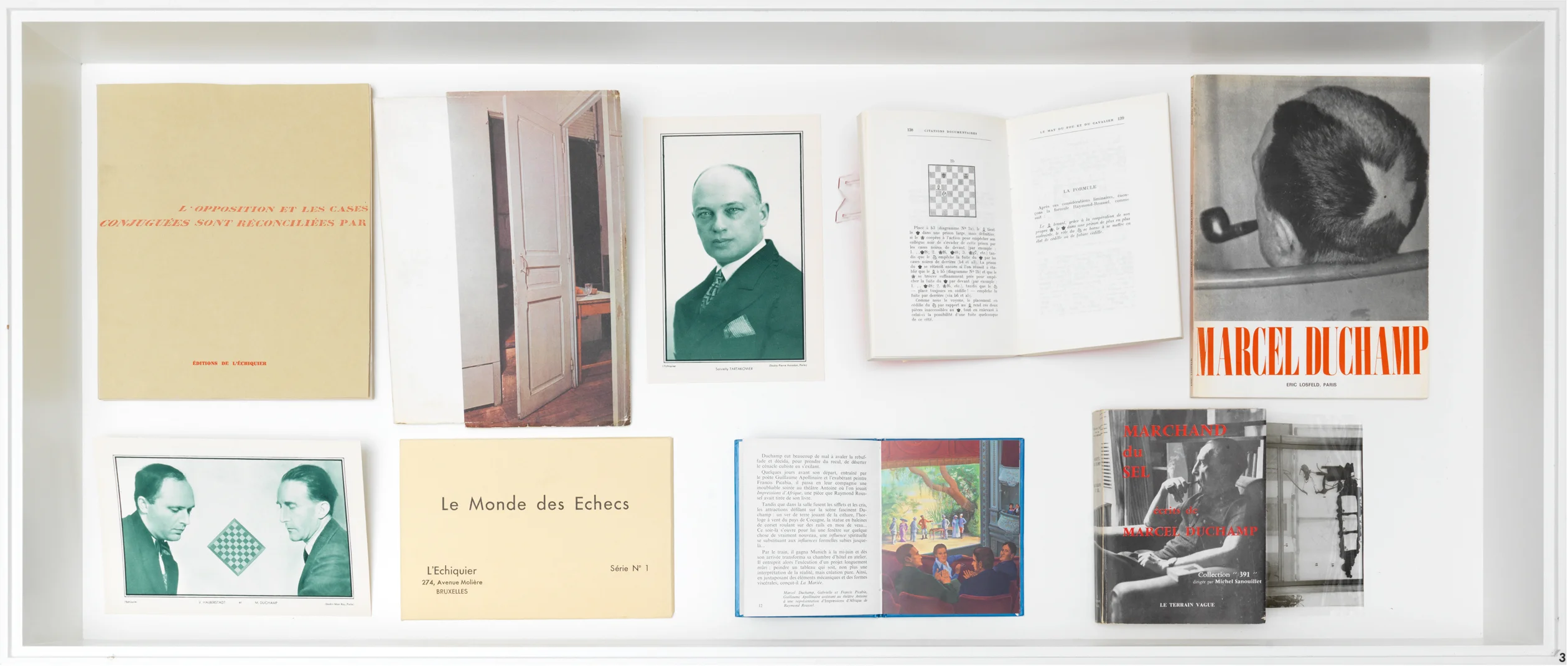 The President of the Republic of Dreams curated by François Piron — Raymond Roussel — Exhibitions — Galerie Buchholz — Image 57