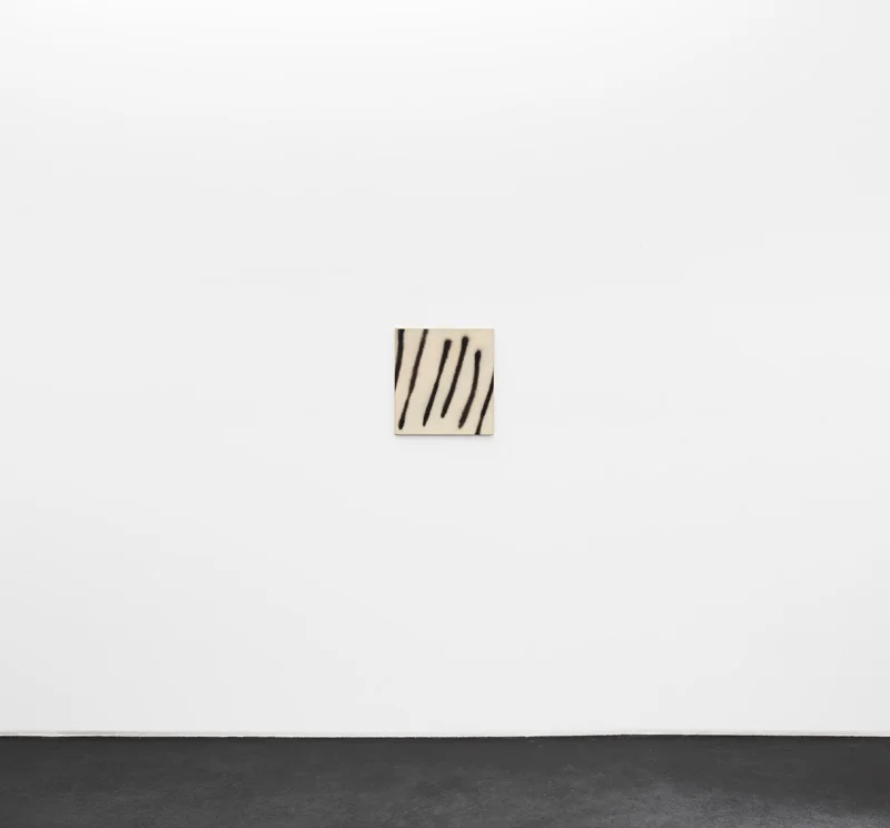 Paintings and Photo-Conceptual Works, 1967-1976 — Martin Barré — Exhibitions — Galerie Buchholz — Image 04