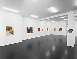 Exhibition curated by Yve-Alain Bois — Christophe Verfaille — Exhibitions — Galerie Buchholz — Image 29