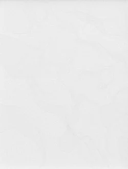 Chambered Shells and Birdwings — Cheyney Thompson — Exhibitions — Galerie Buchholz — Image 77