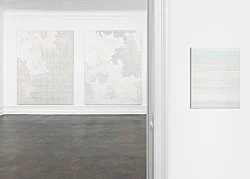 Chambered Shells and Birdwings — Cheyney Thompson — Exhibitions — Galerie Buchholz — Image 67