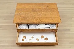 afterlife — Julie Ault — Exhibitions — Galerie Buchholz — Image 132