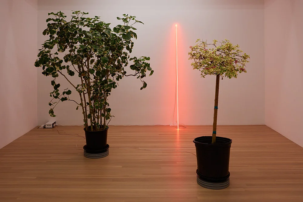 shadefrequency — Cerith Wyn Evans — Exhibitions — Galerie Buchholz — Image 00