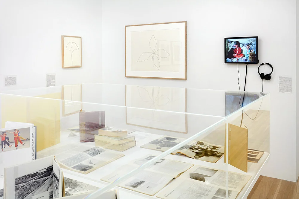 Douglas Crimp Before Pictures New York City 1967-1977 — Alvin Baltrop, Daniel Buren, The Cockettes, Joseph Cornell, Walker Evans, Jack Goldstein, Guy Hocquenghem, Peter... — Exhibitions — Galerie Buchholz — Image 00