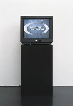 Birds in a Park an exhibition by Willem de Rooij — Fong-Leng Keren Cytter Isa Genzken — Exhibitions — Galerie Buchholz — Image 28