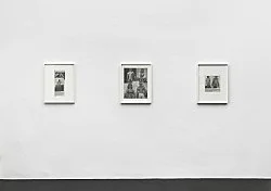 Open the Kimono — Lutz Bacher — Exhibitions — Galerie Buchholz — Image 89
