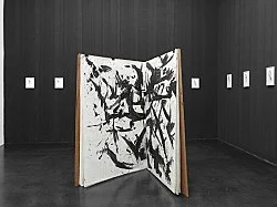 Open the Kimono — Lutz Bacher — Exhibitions — Galerie Buchholz — Image 61
