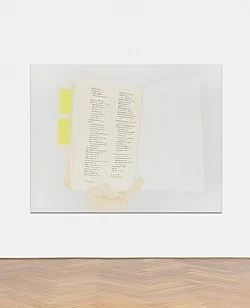 lonely and abandoned on the market place — Frances Stark — Exhibitions — Galerie Buchholz — Image 59