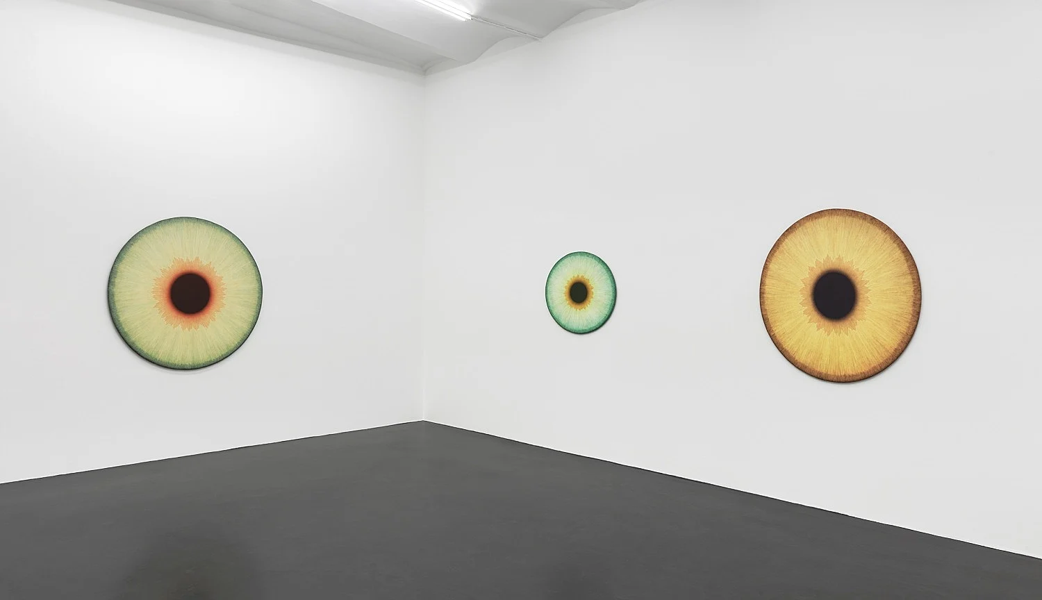 Visualities — Ulla Wiggen — Exhibitions — Galerie Buchholz — Image 04