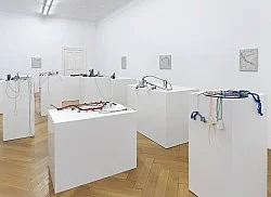 The Mephisto Hours — Josef Strau — Exhibitions — Galerie Buchholz — Image 89