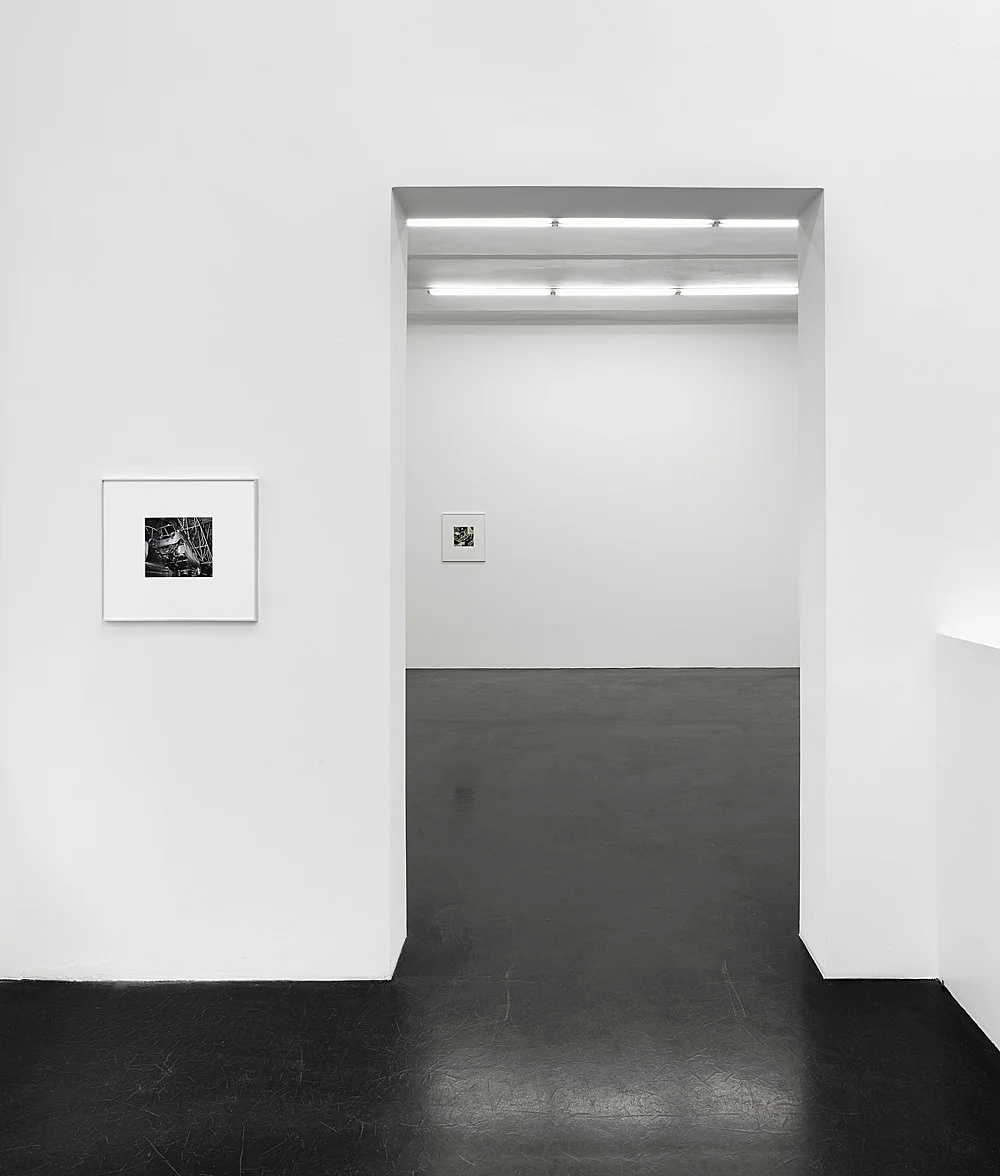 Fine Important Post War and Contemporary — Mathias Poledna — Exhibitions — Galerie Buchholz — Image 04