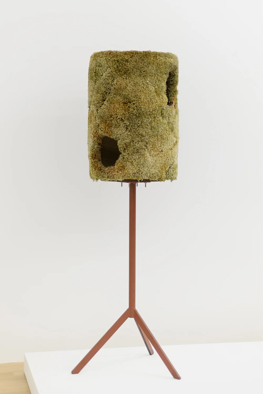 Exhibition curated by Scott Portnoy — Curtis Cuffie — Exhibitions — Galerie Buchholz — Image 89
