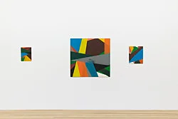 Exhibition curated by Yve-Alain Bois — Christophe Verfaille — Exhibitions — Galerie Buchholz — Image 87