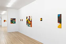 Exhibition curated by Yve-Alain Bois — Christophe Verfaille — Exhibitions — Galerie Buchholz — Image 55