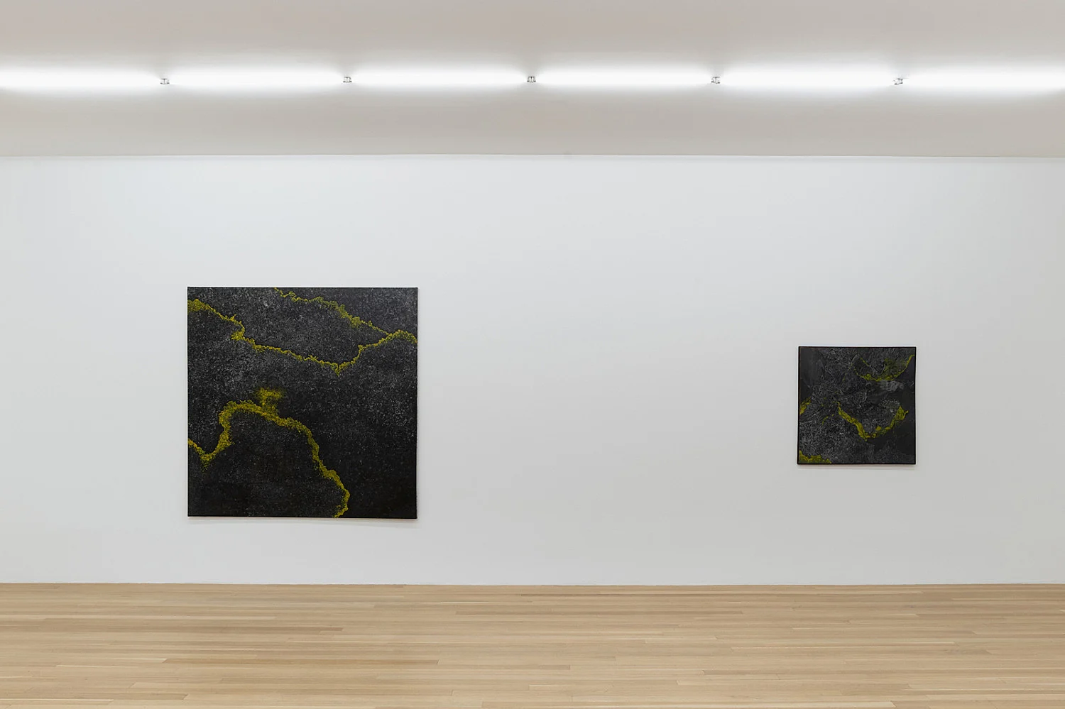 5 Paintings 1962-1963 — Paul Thek — Exhibitions — Galerie Buchholz — Image 13
