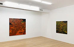 5 Paintings 1962-1963 — Paul Thek — Exhibitions — Galerie Buchholz — Image 26