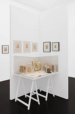 The Adroit Princess curated by Jelena Kristic exhibition design Mathias Poledna — Marie Laurencin — Exhibitions — Galerie Buchholz — Image 47