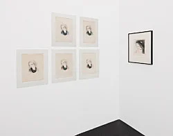 The Adroit Princess curated by Jelena Kristic exhibition design Mathias Poledna — Marie Laurencin — Exhibitions — Galerie Buchholz — Image 61