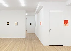 1982, 1983, 1984 — Jutta Koether — Exhibitions — Galerie Buchholz — Image 76