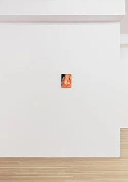 1982, 1983, 1984 — Jutta Koether — Exhibitions — Galerie Buchholz — Image 56