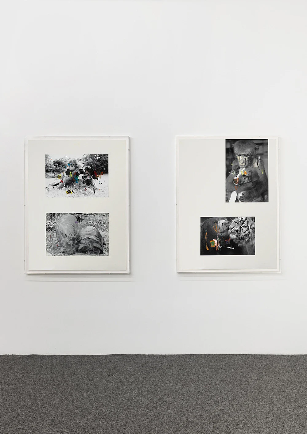 an exhibition organized by Samuel Hindolo — Yuji Agematsu, Gilles Aillaud, Cecilia Bjartmar Hylta, Prunella Clough, Curtis Cuffie, Dominick Di Meo, Trisha... — Exhibitions — Galerie Buchholz — Image 00