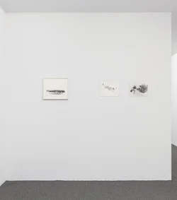 Correction of perspective in my bedroom — Alix Cléo Roubaud — Exhibitions — Galerie Buchholz — Image 91