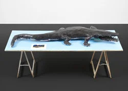 Food chain incl. prehistoric animals — Henrik Olesen — Exhibitions — Galerie Buchholz — Image 95
