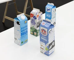 Food chain incl. prehistoric animals — Henrik Olesen — Exhibitions — Galerie Buchholz — Image 68