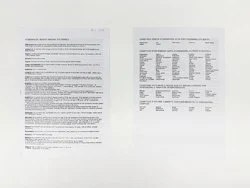 Food chain incl. prehistoric animals — Henrik Olesen — Exhibitions — Galerie Buchholz — Image 76