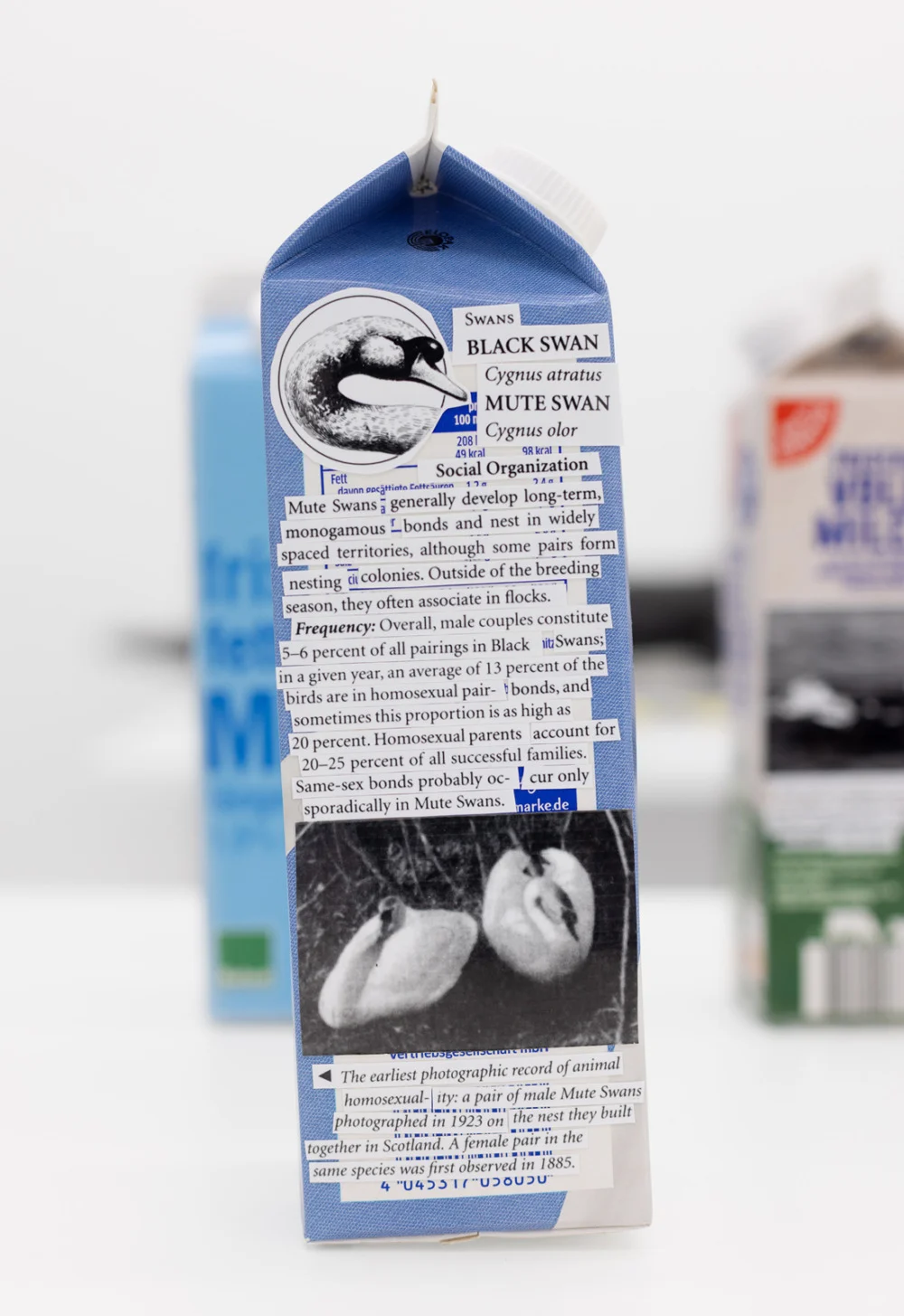 Food chain incl. prehistoric animals — Henrik Olesen — Exhibitions — Galerie Buchholz — Image 14