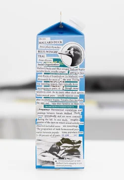 Food chain incl. prehistoric animals — Henrik Olesen — Exhibitions — Galerie Buchholz — Image 73