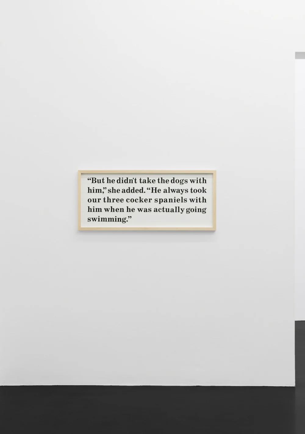 Larry Johnson - Galerie Köln 2026 — Larry Johnson — Exhibitions — Galerie Buchholz — Image 12