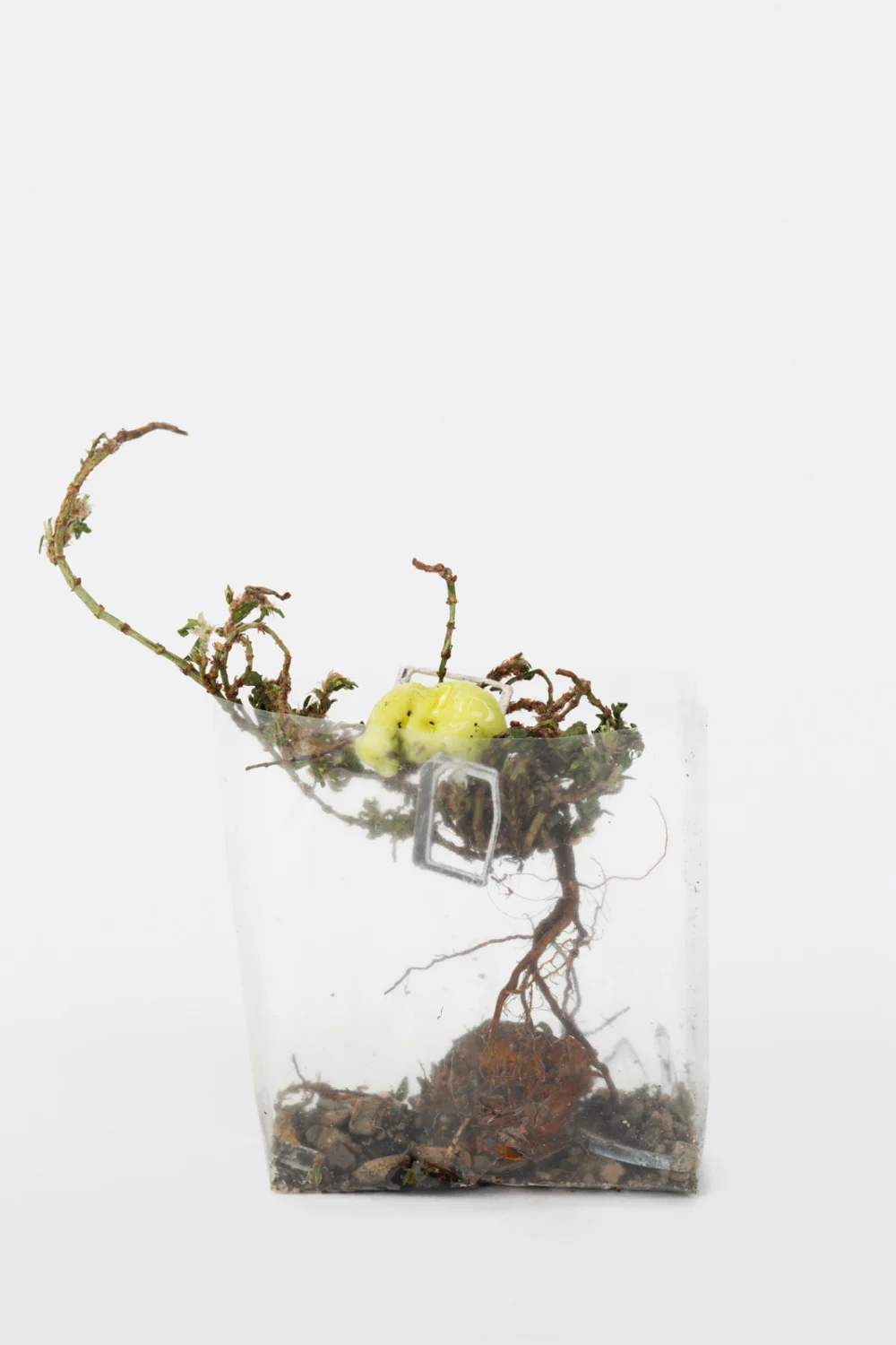 Zip 01-01-2024 12-31-2024 — Yuji Agematsu — Exhibitions — Galerie Buchholz — Image 09