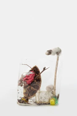 Zip 01-01-2024 12-31-2024 — Yuji Agematsu — Exhibitions — Galerie Buchholz — Image 106