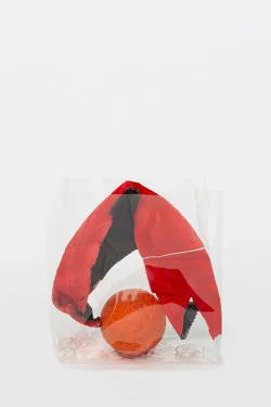 Zip 01-01-2024 12-31-2024 — Yuji Agematsu — Exhibitions — Galerie Buchholz — Image 151
