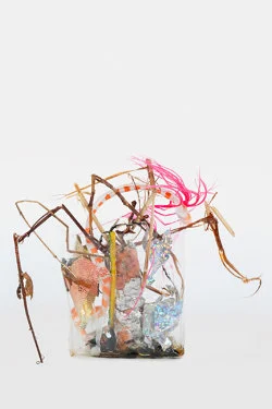 Zip 01-01-2024 12-31-2024 — Yuji Agematsu — Exhibitions — Galerie Buchholz — Image 125
